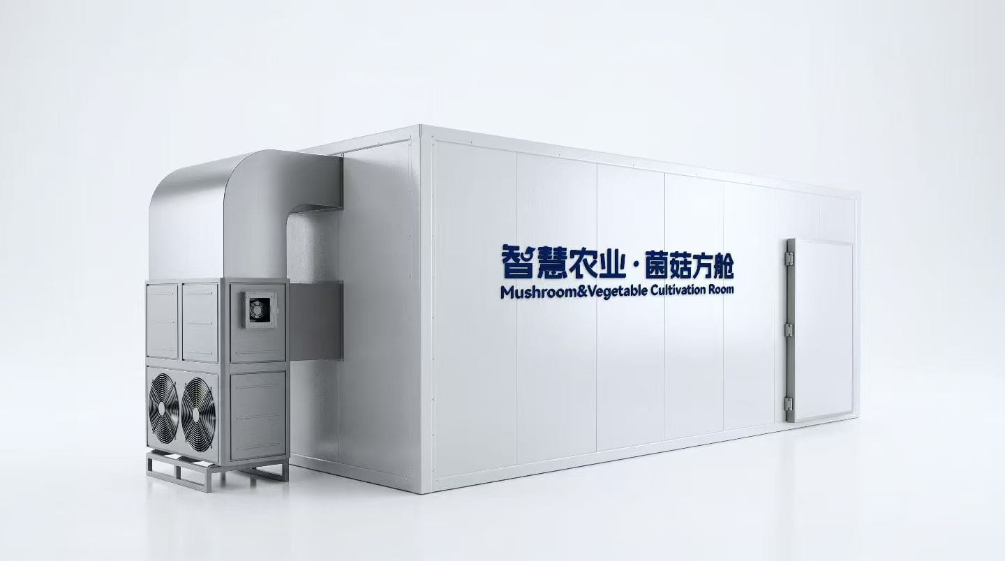 集装箱里的“绿色革命”：解锁培育集装箱蔬菜的高效路径